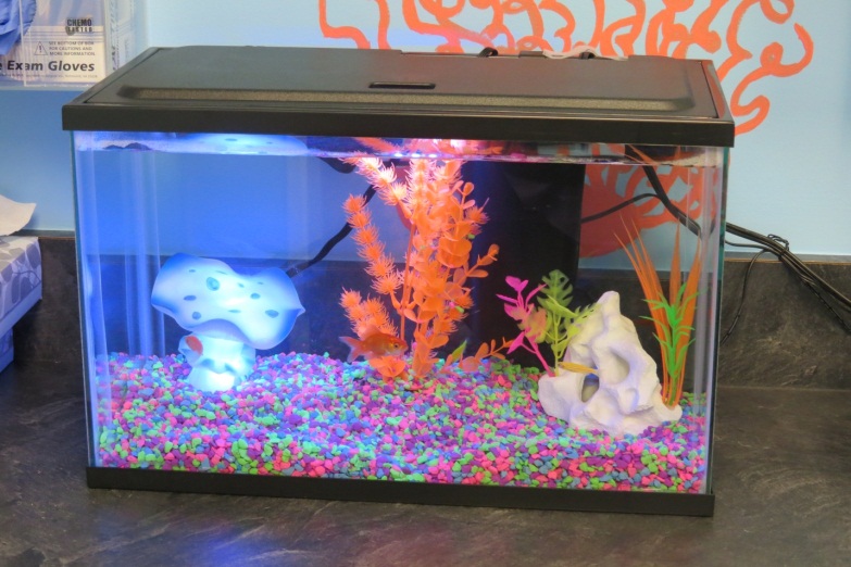 FindingNemo3