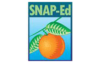 61 Snap