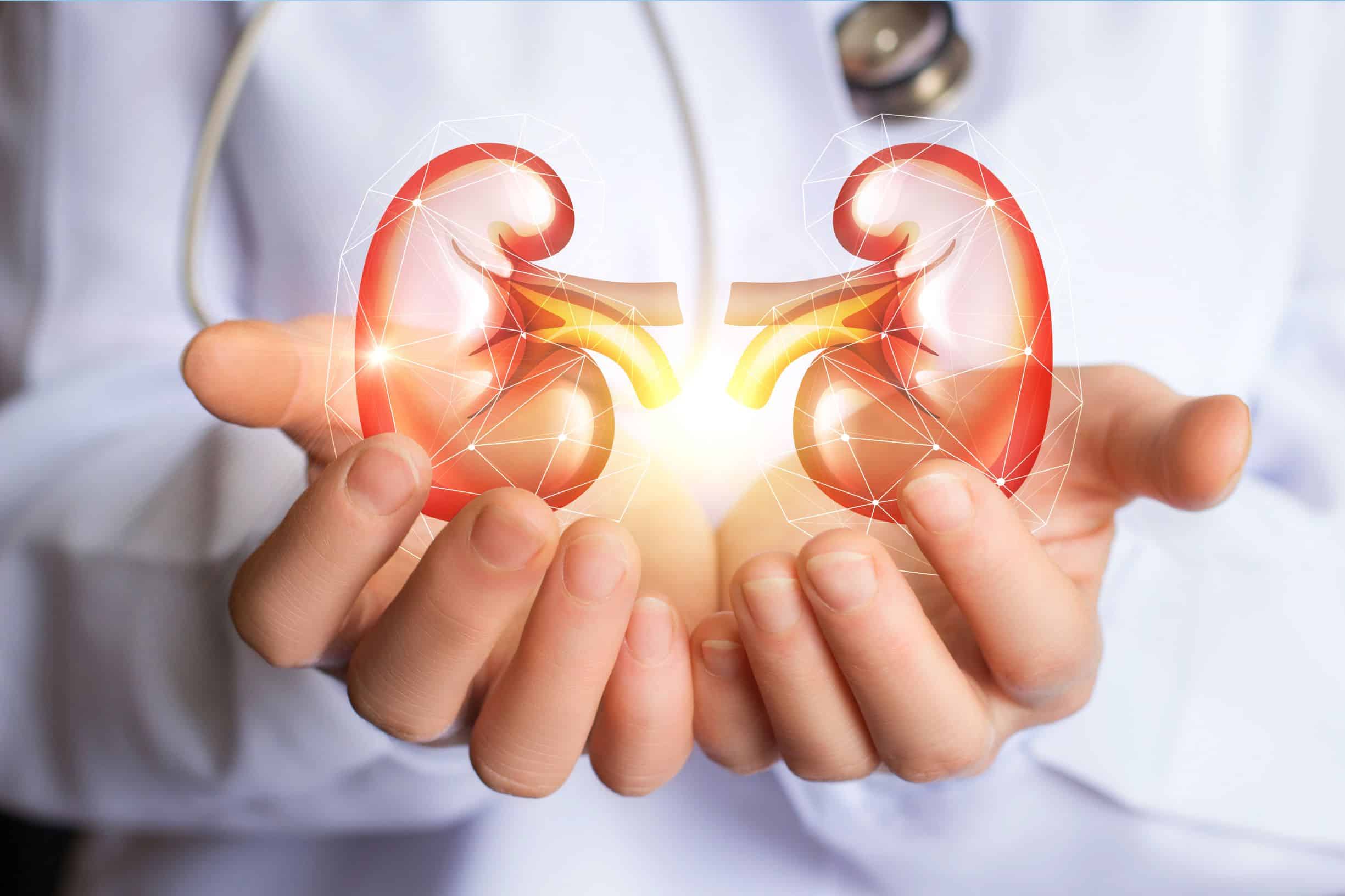 Kidney Health & Why It’s Important